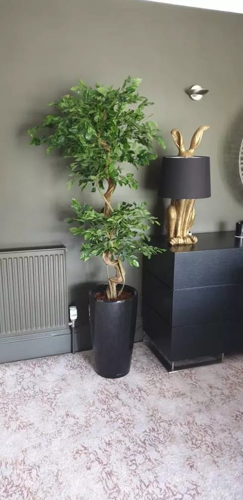 Artificial Evergreen Large Trees 150cm Large Twisted Ficus 150cm 5ft Realistic