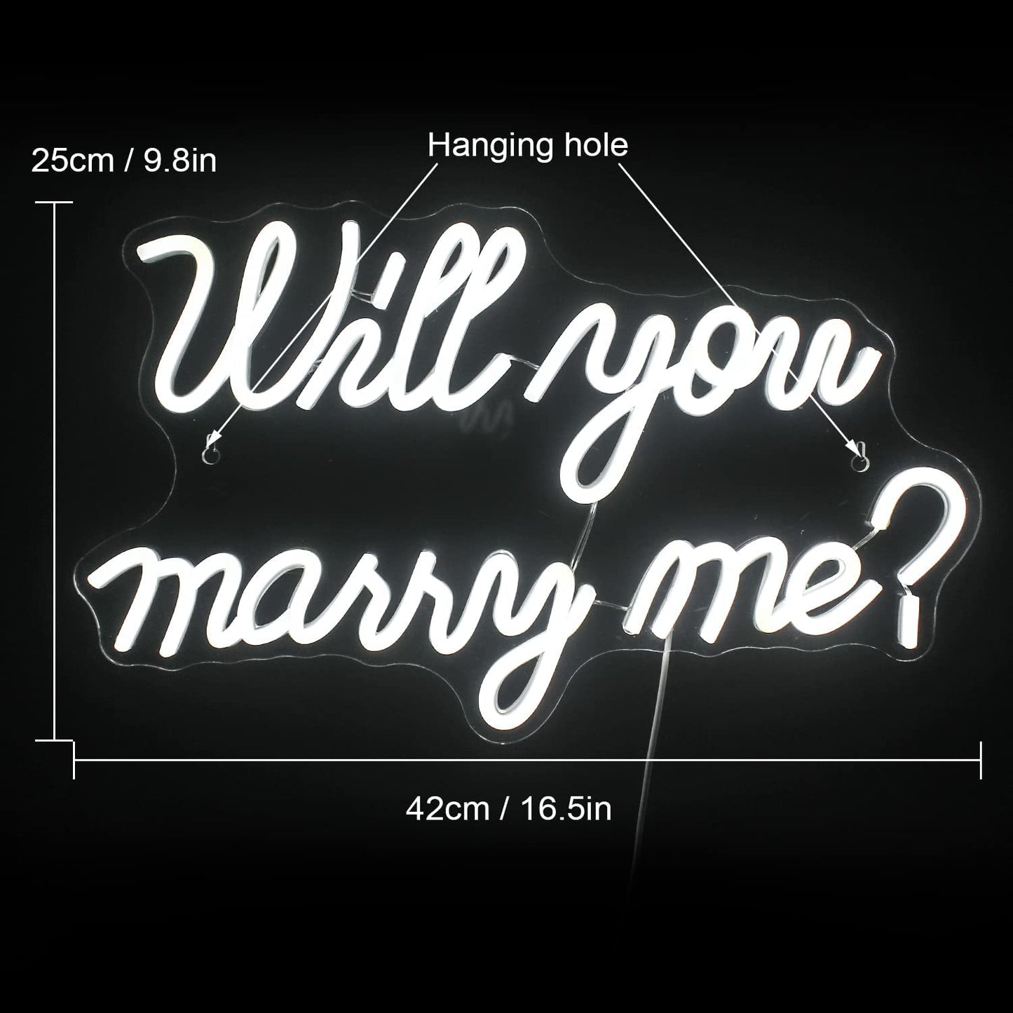 Will You Marry Me Neon Sign