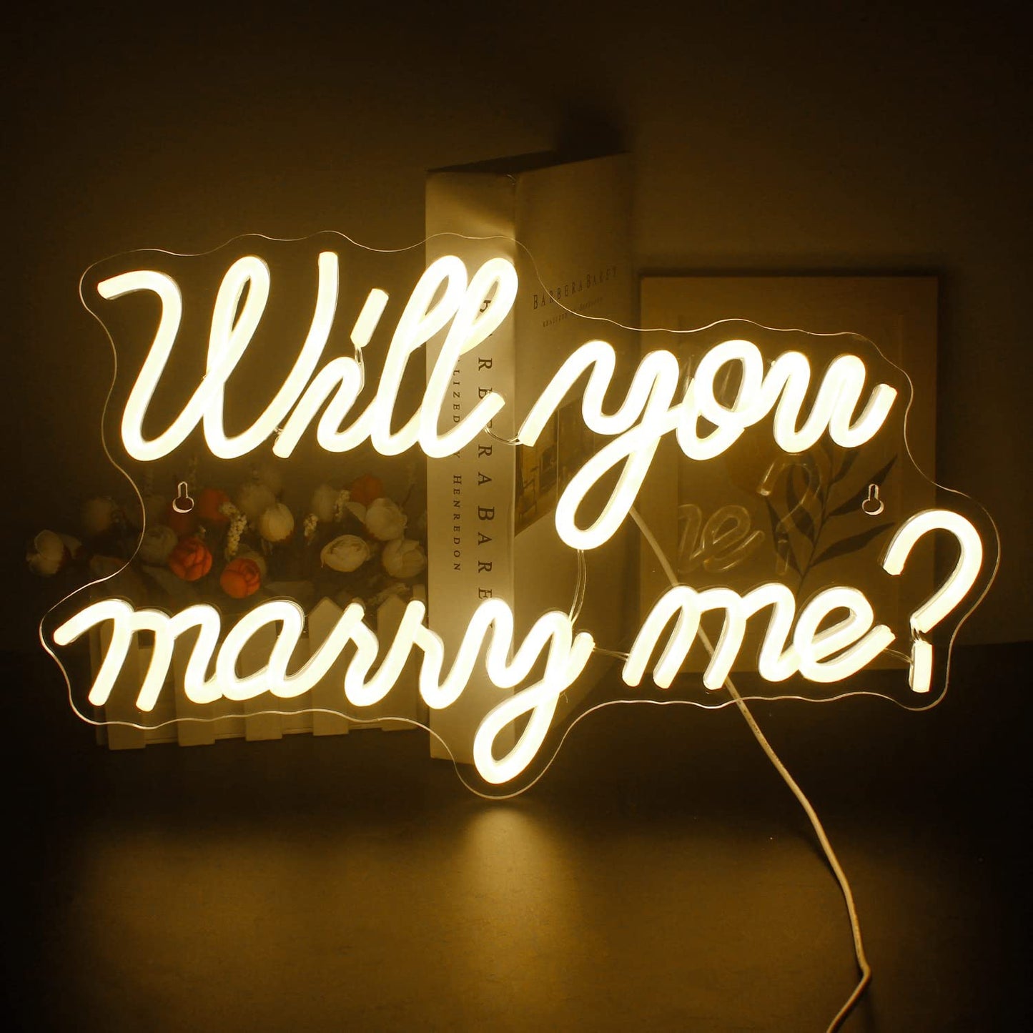 Will You Marry Me Neon Sign